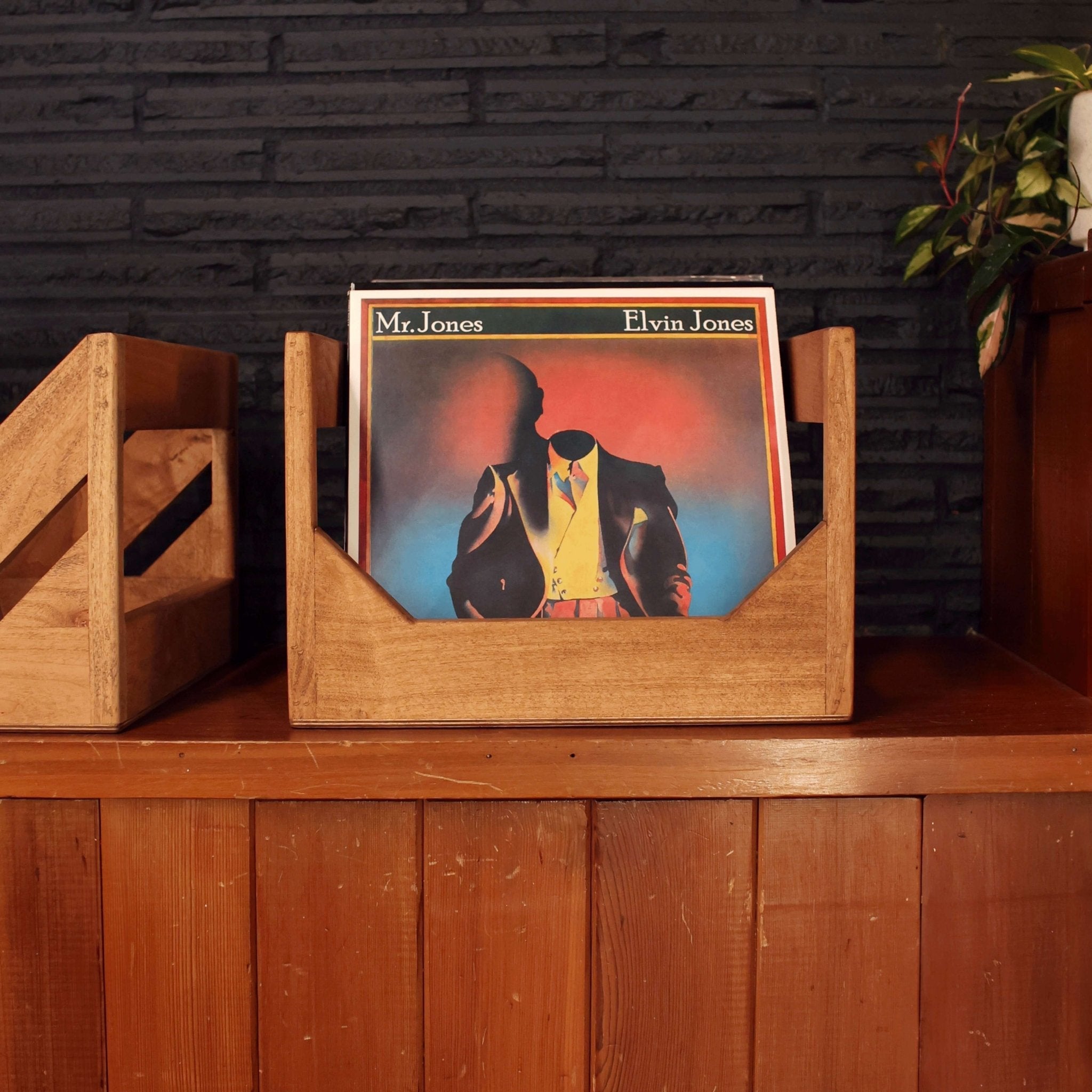 The Cube : 12" Vinyl Storage Crate - Paranoid Ranch
