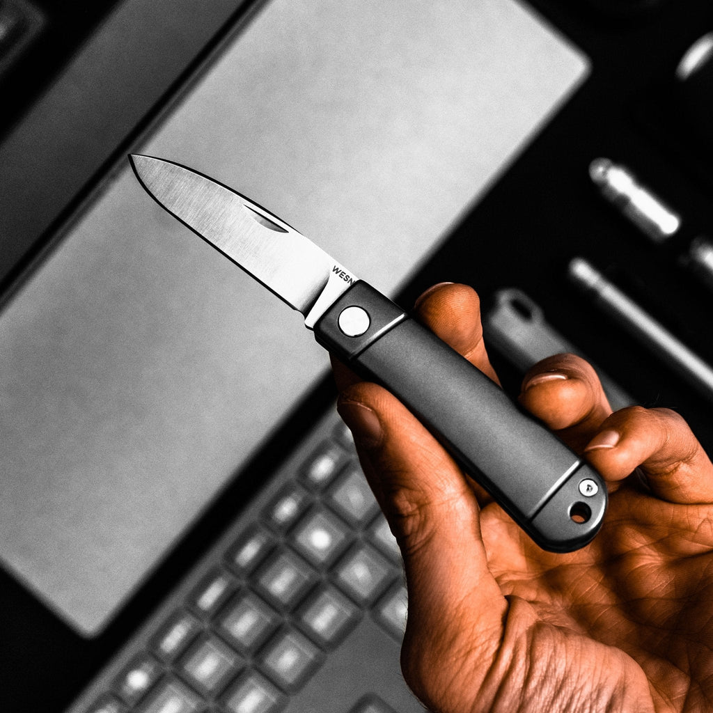 The Henry - Paranoid Ranch