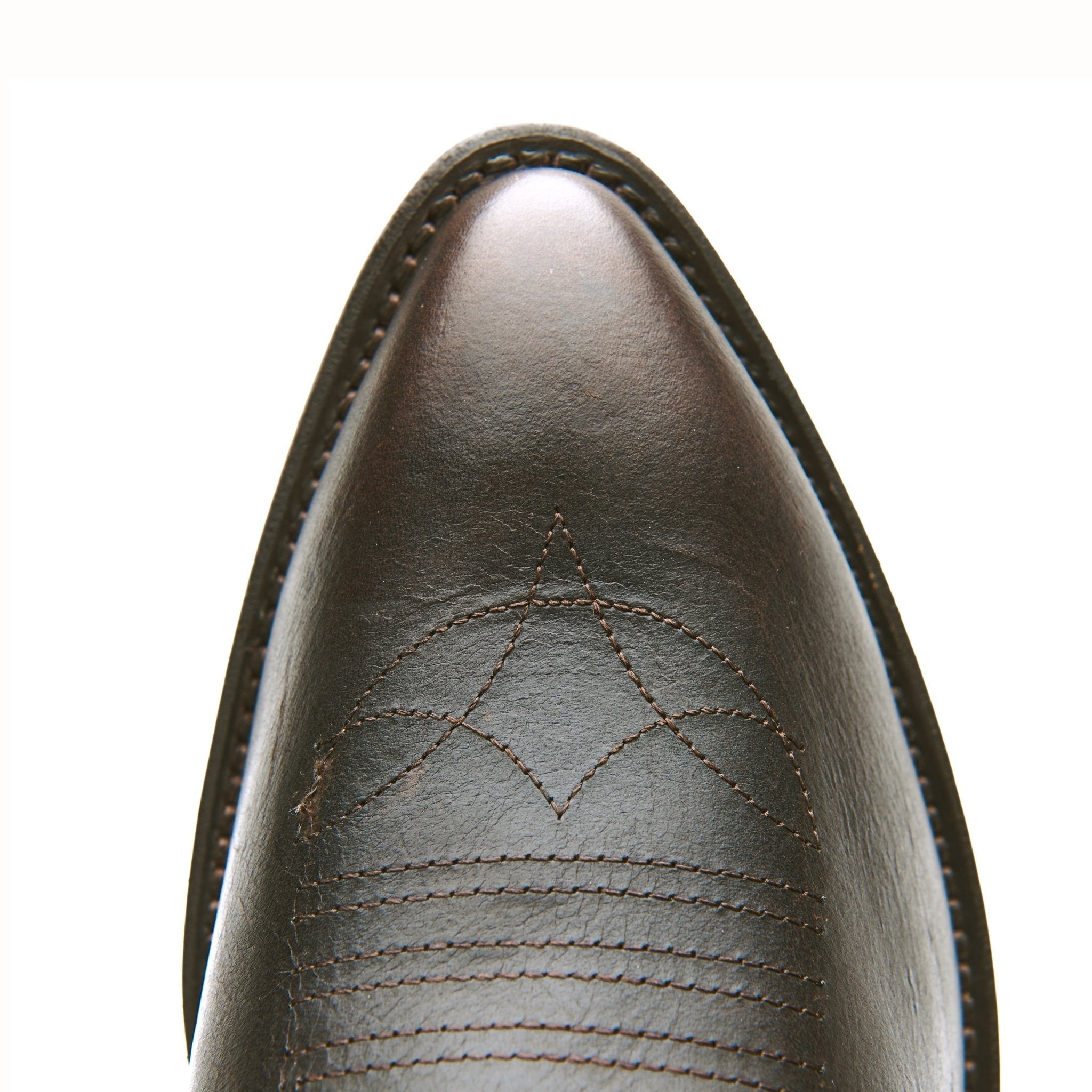 The Lamar - Paranoid Ranch