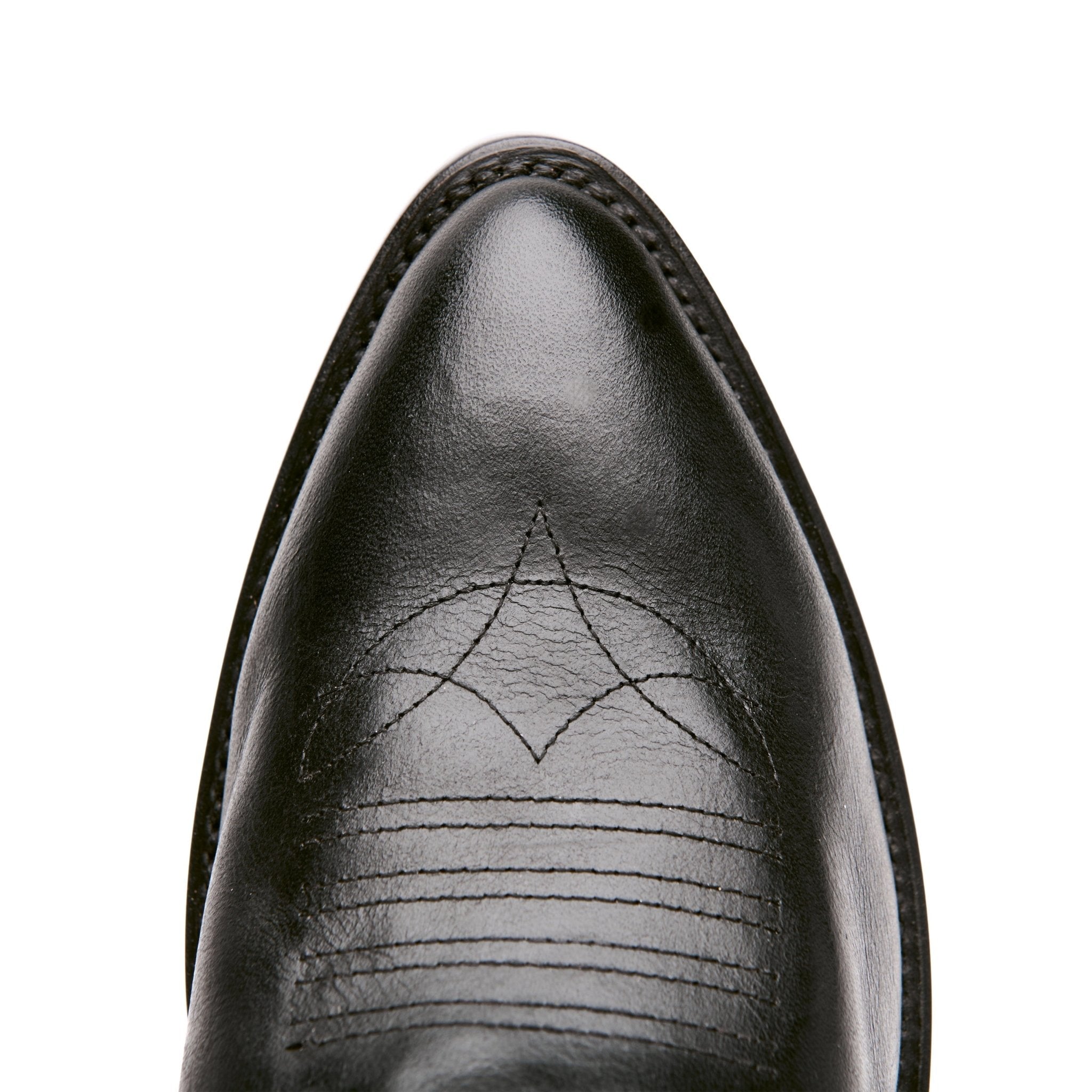 The Lamar - Paranoid Ranch