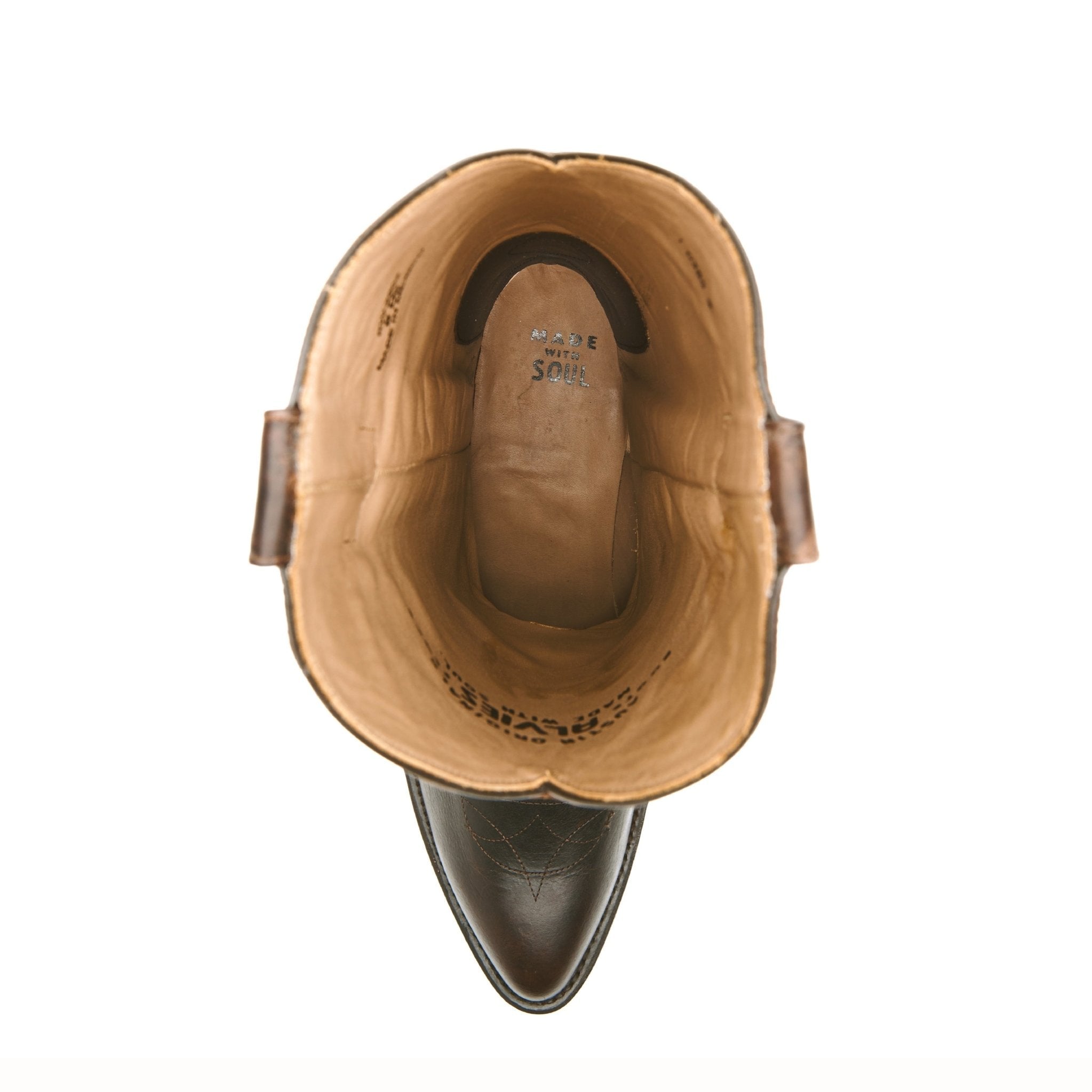 The Lamar - Paranoid Ranch