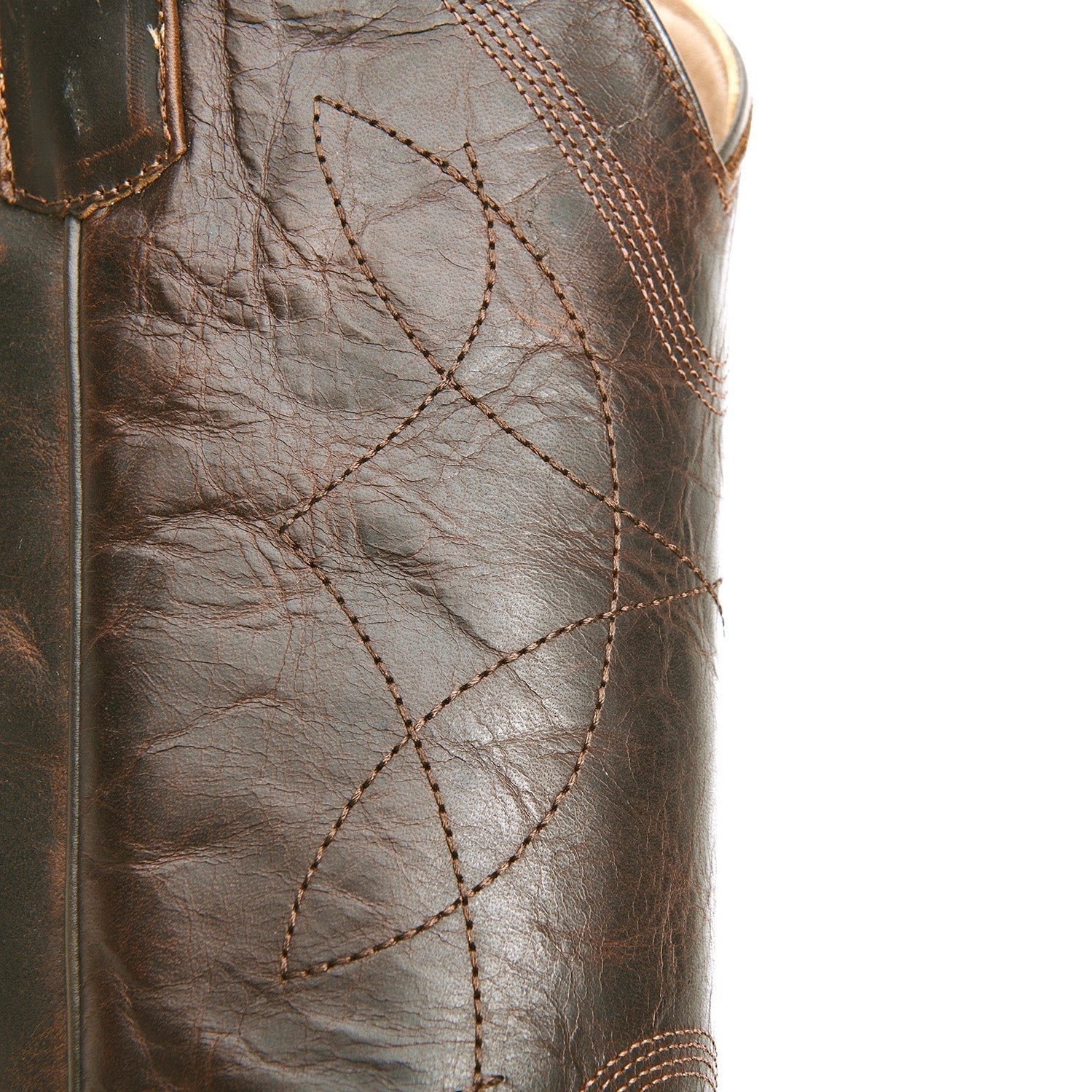 The Lamar - Paranoid Ranch