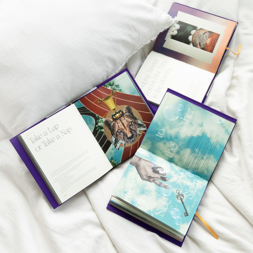 The Mysteries of Sleep Book - Paranoid Ranch