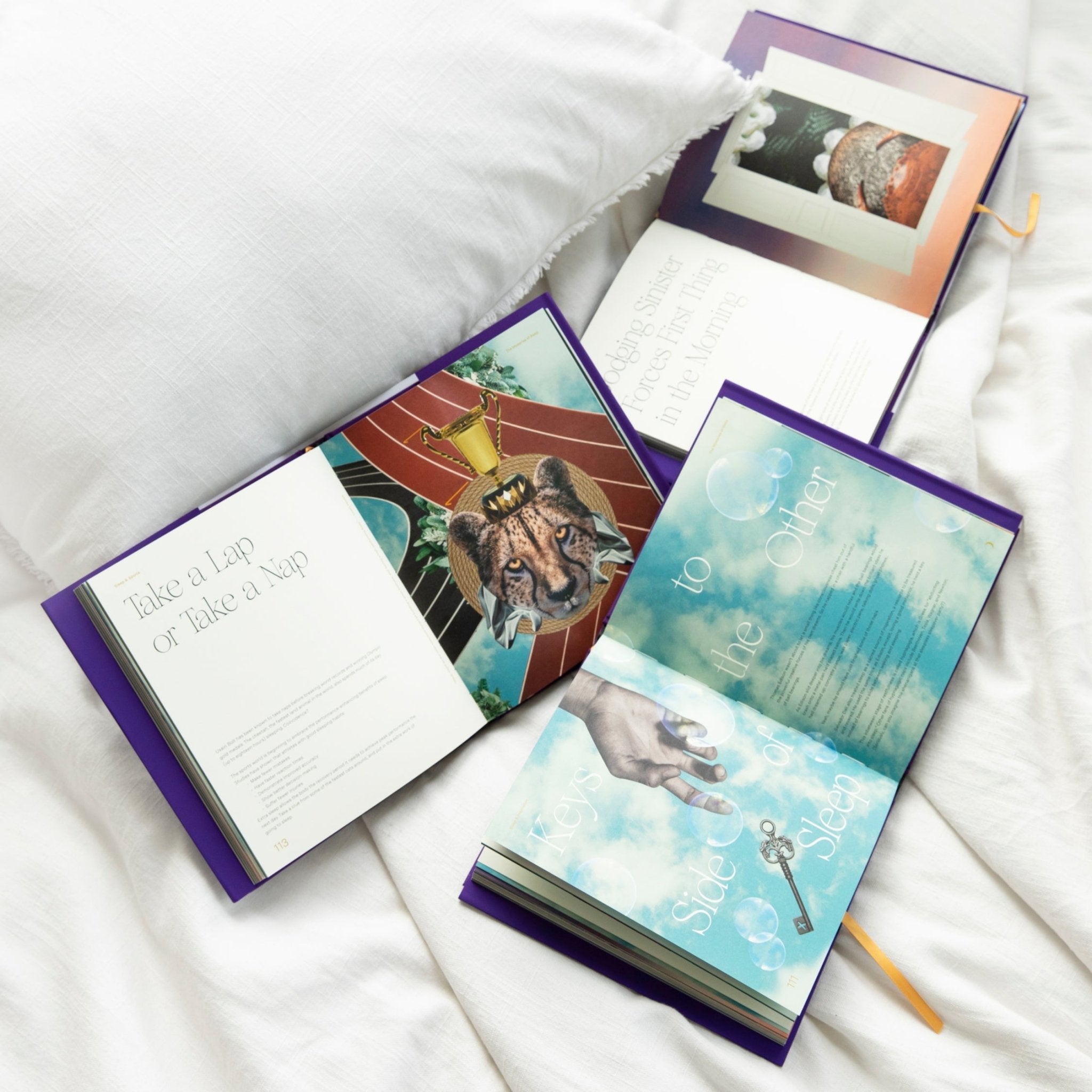 The Mysteries of Sleep Book - Paranoid Ranch