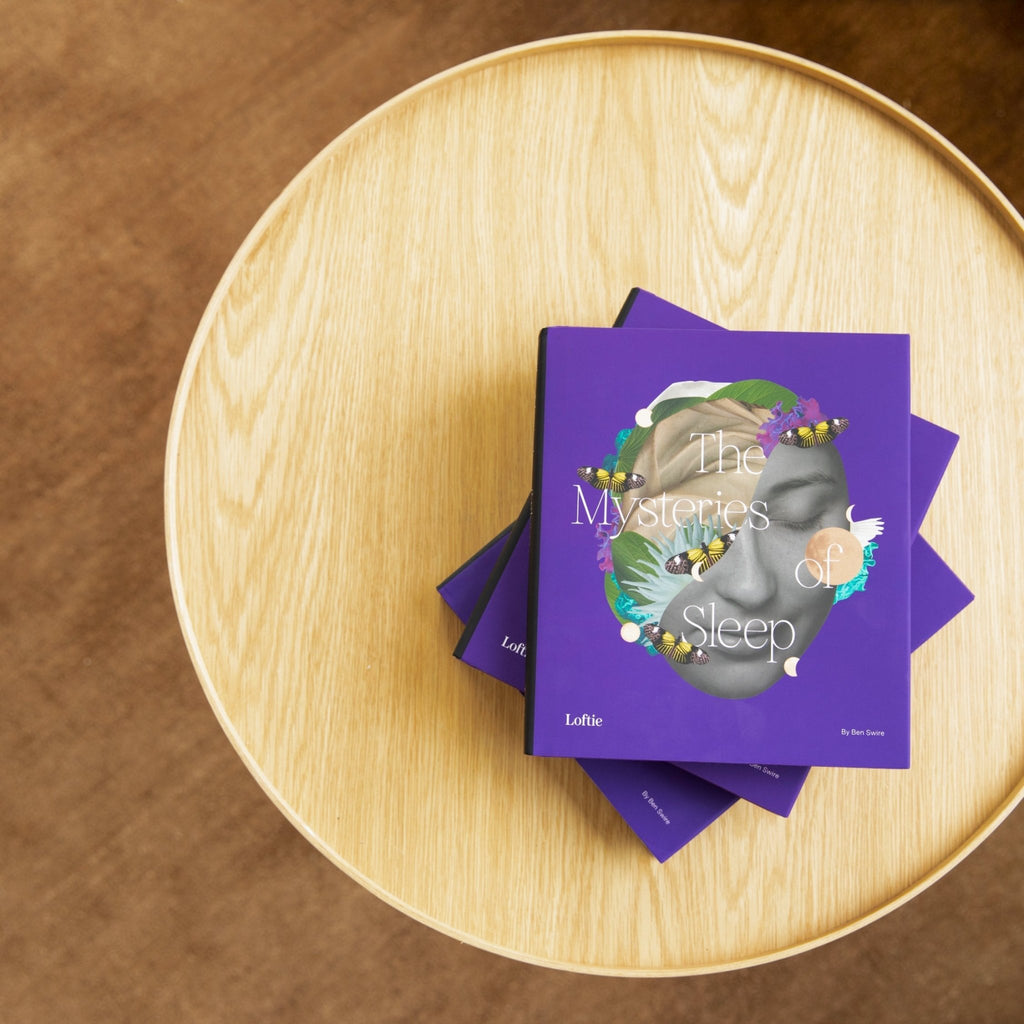 The Mysteries of Sleep Book - Paranoid Ranch