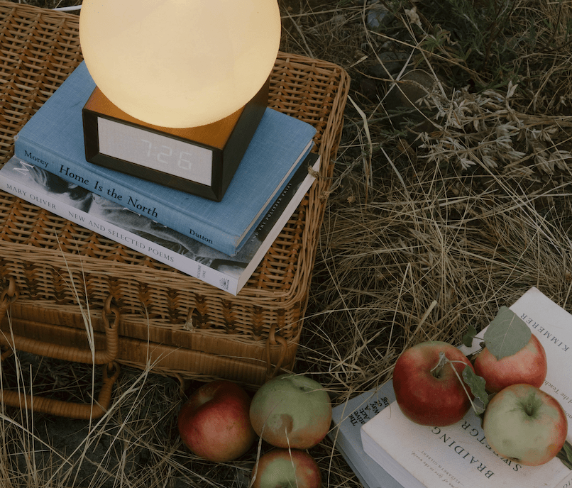 The Original Sunrise Alarm Clock - Paranoid Ranch