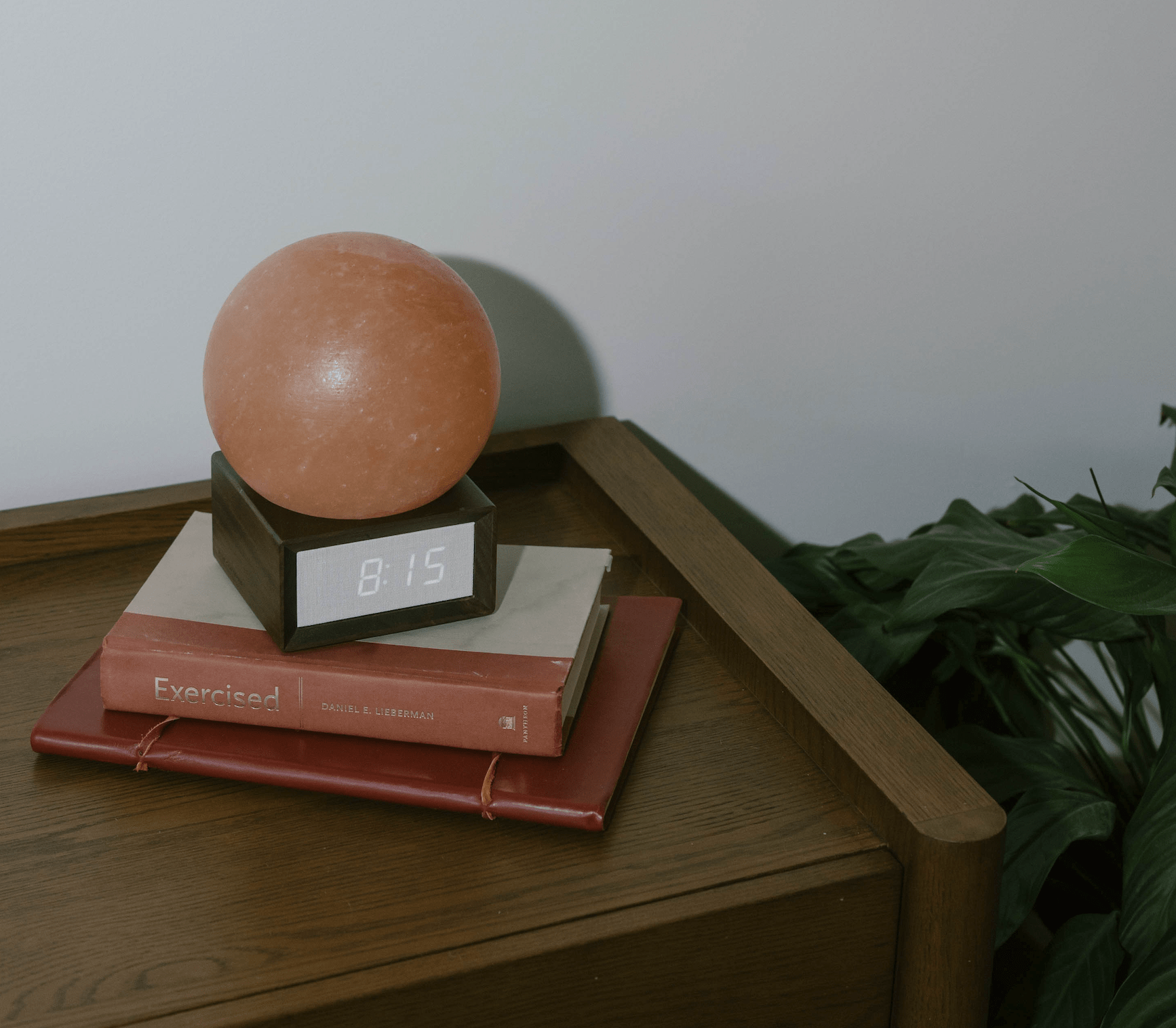 The Original Sunrise Alarm Clock - Paranoid Ranch