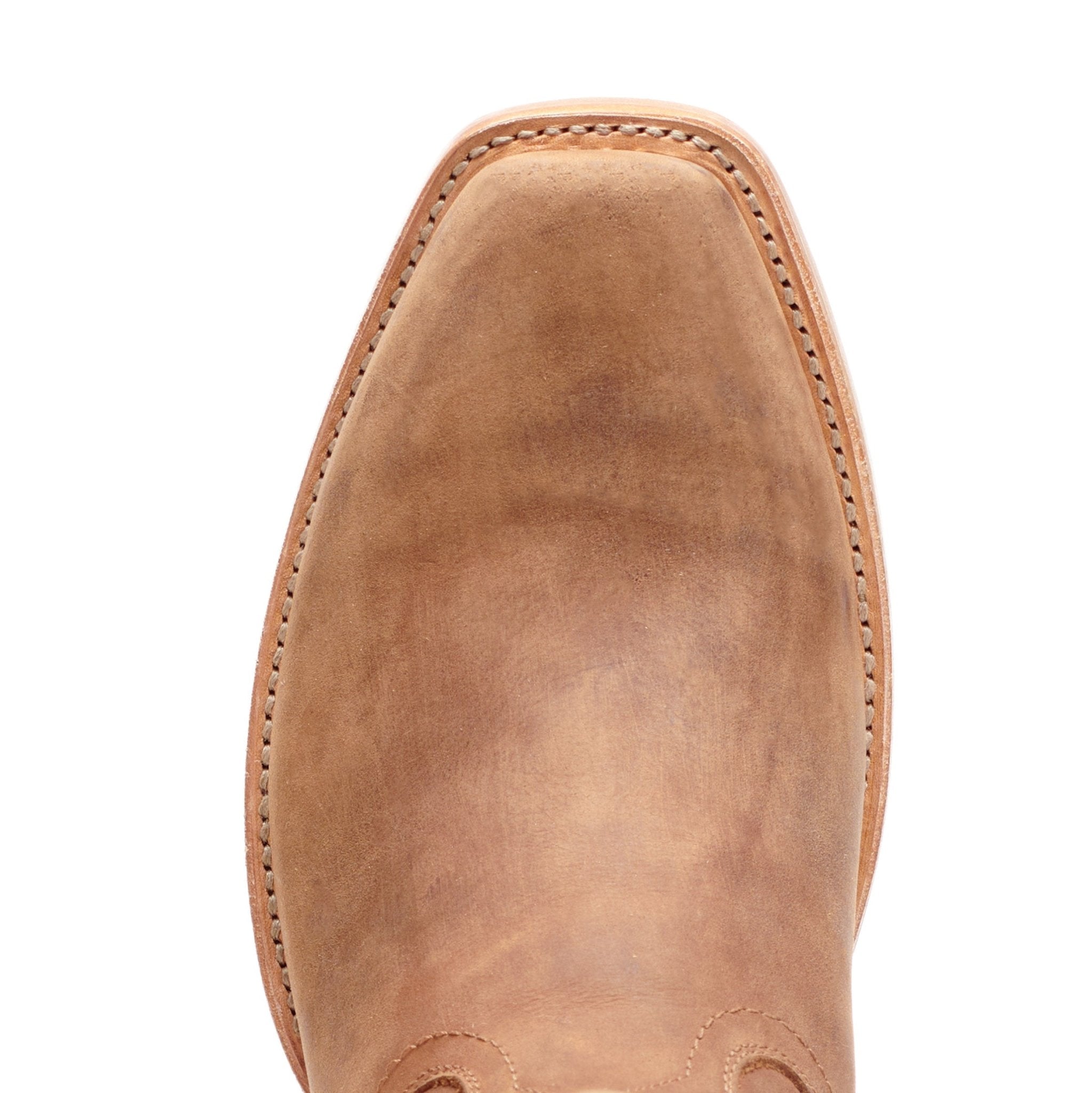 The Shoal Creek - Paranoid Ranch