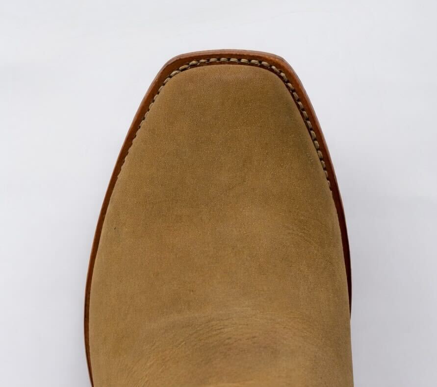 The Shoal Creek - Paranoid Ranch