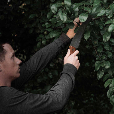 Timber Saw - Paranoid Ranch