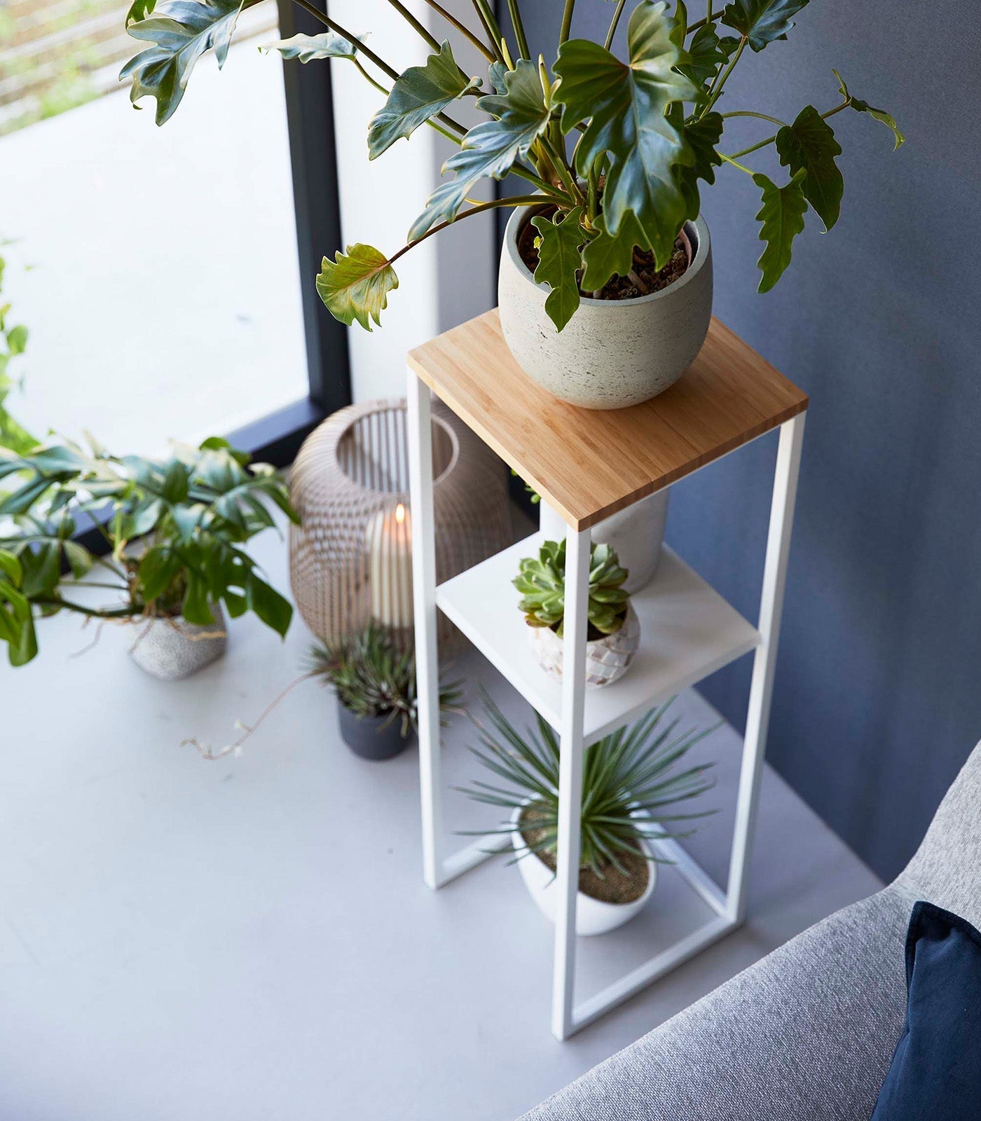 Two - Tier Display & Storage Shelf (31.5" H) - Steel + Wood - Paranoid Ranch