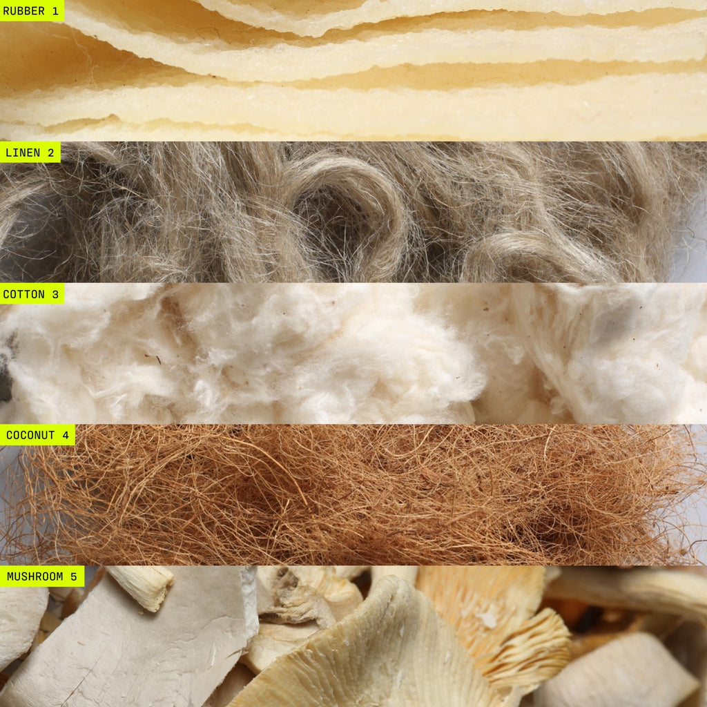 UNLESS Govy Mid - Paranoid Ranch