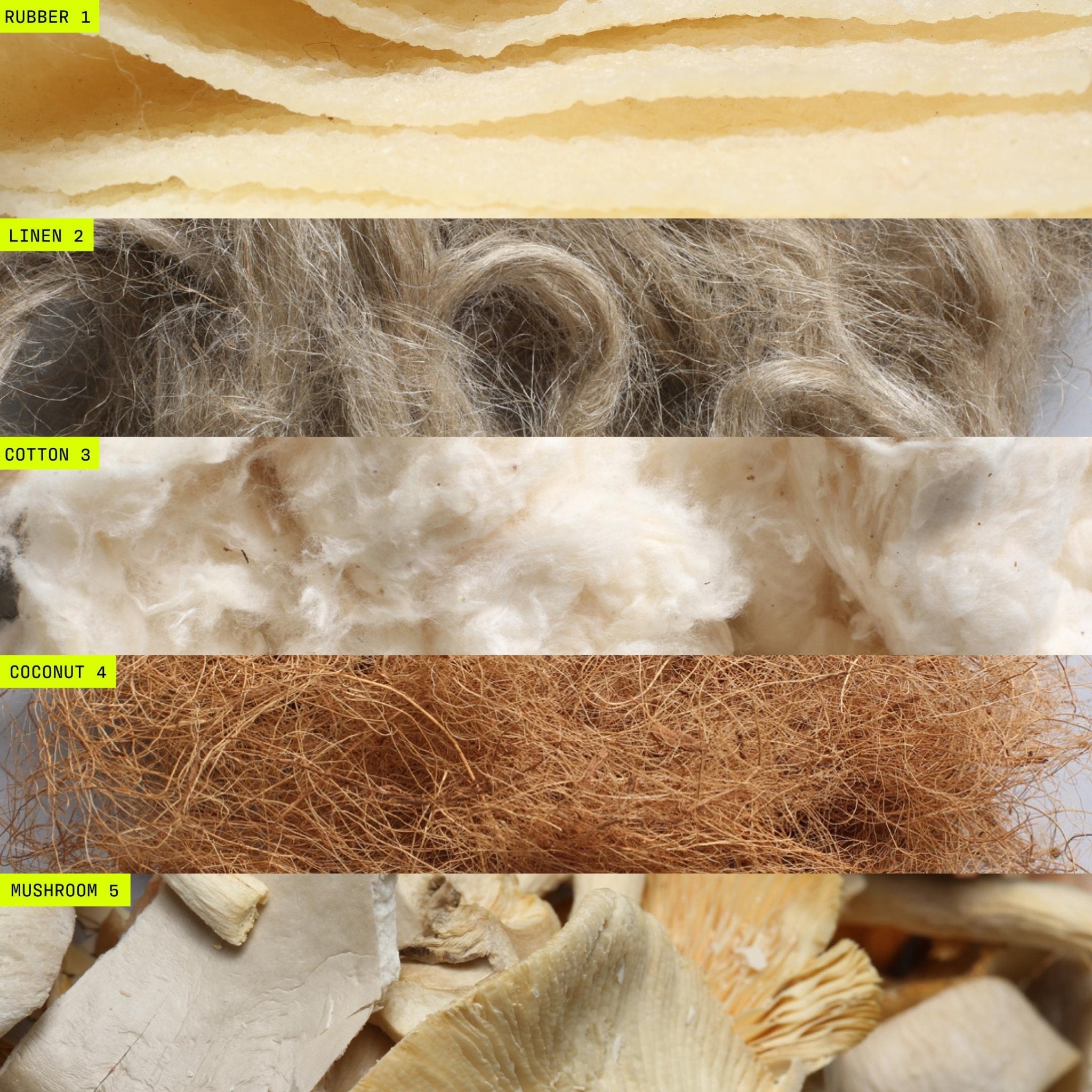 UNLESS York Low - Paranoid Ranch