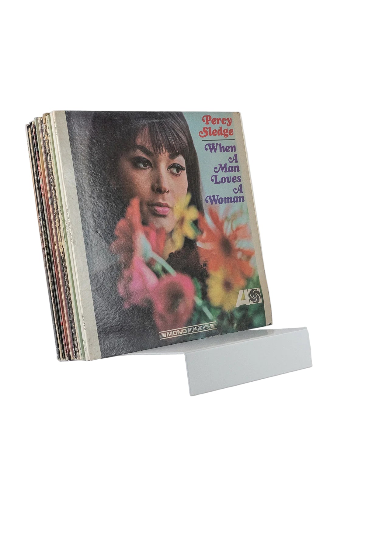 Upton LP Stand - White - Paranoid Ranch