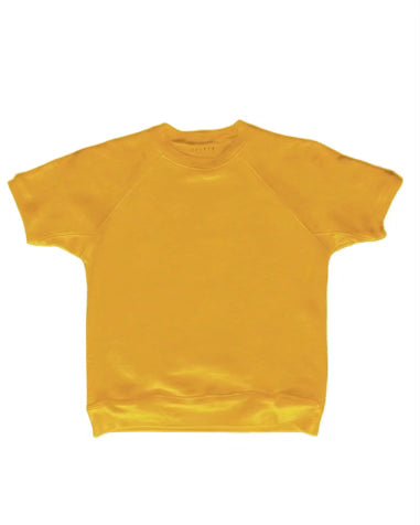 Vintage Raglan Short Sleeve Shirt - Paranoid Ranch