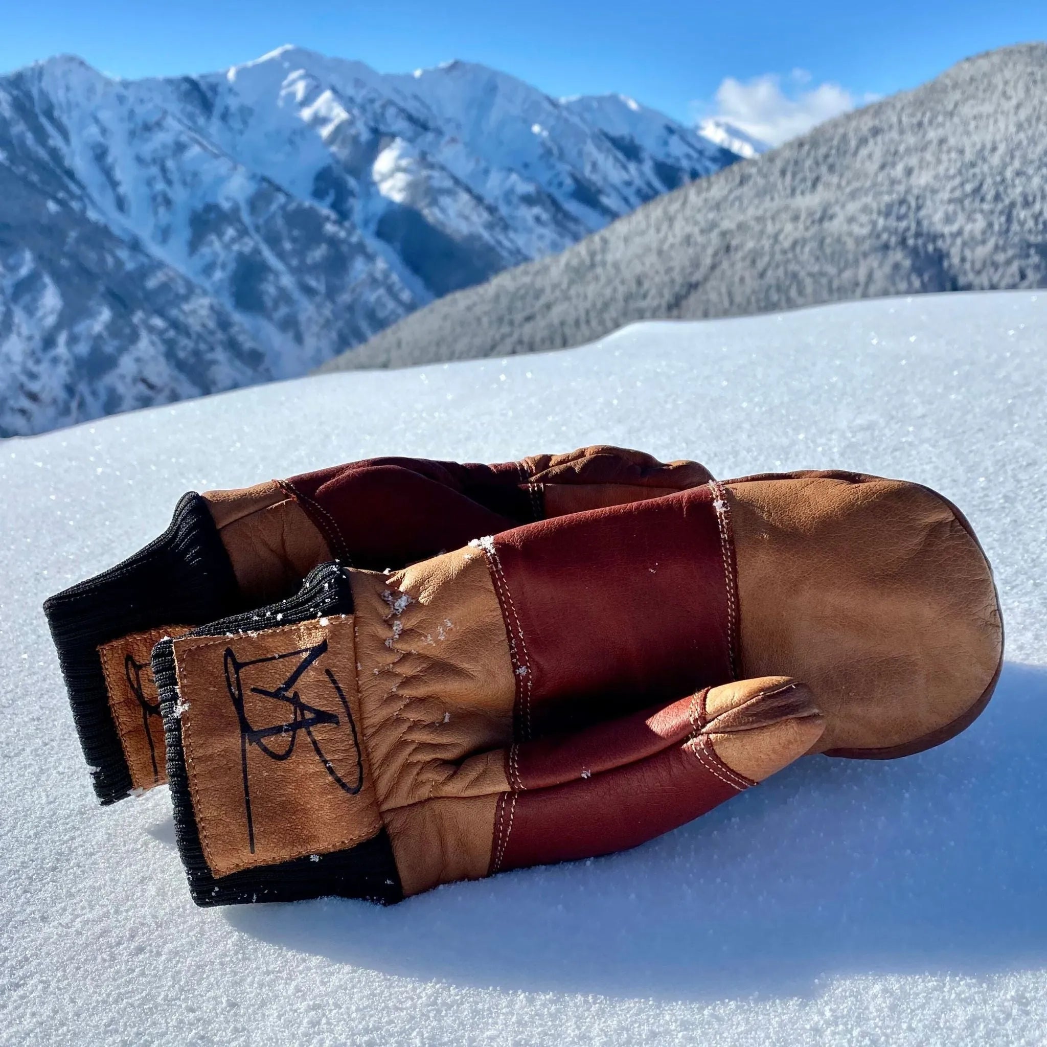 Water Buffalo Leather Mitten - Paranoid Ranch