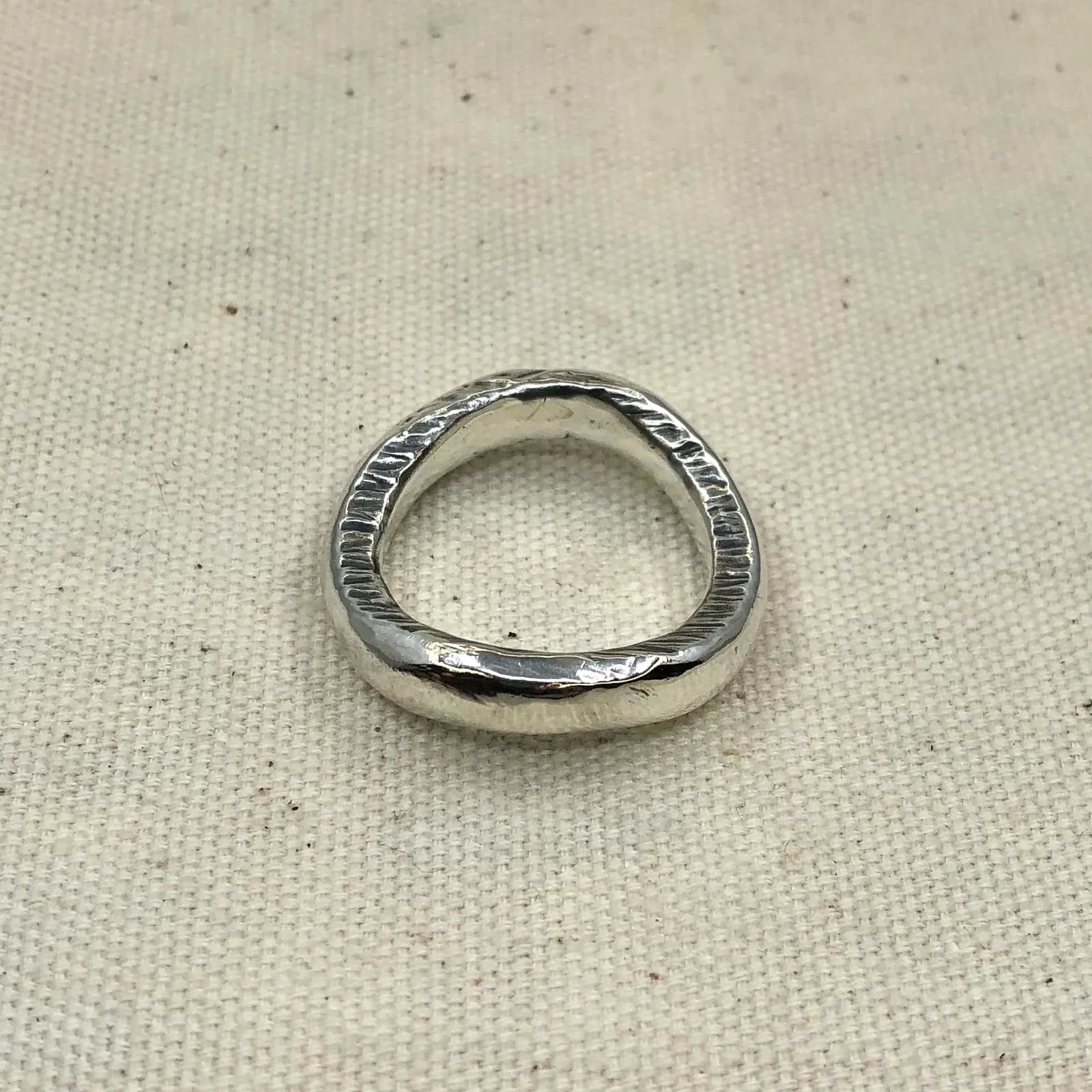 Wavy Band - Paranoid Ranch