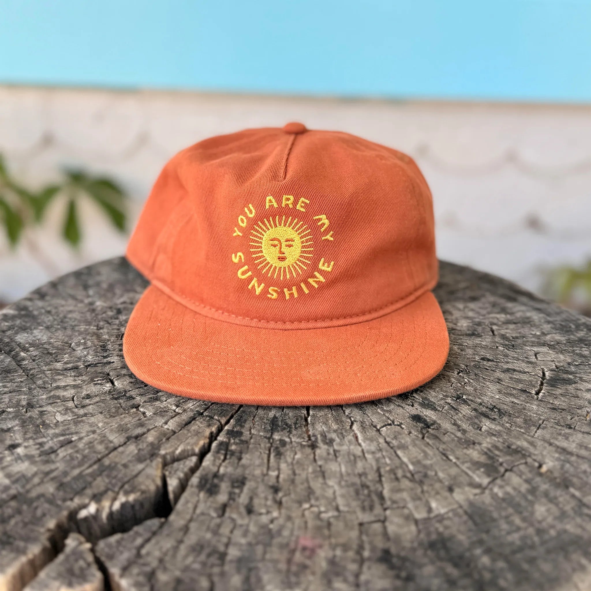 You Are My Sunshine Kids Hat - Paranoid Ranch