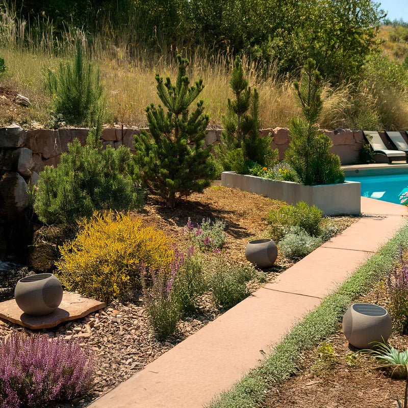 Zen Outdoor Solar Speaker - Paranoid Ranch